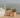 Violeta round plant pot