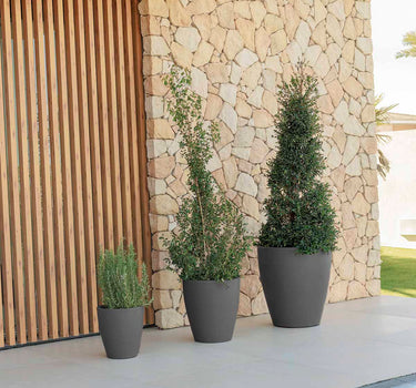 Violeta round plant pot
