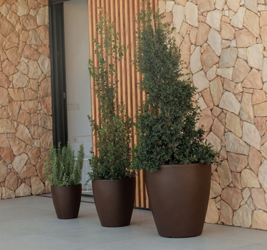 Violeta round plant pot