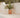 Violeta round plant pot