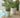 Violeta round plant pot