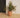 Violeta round plant pot