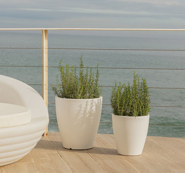 Violeta round plant pot