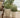 Violeta round plant pot