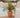 Violeta round plant pot
